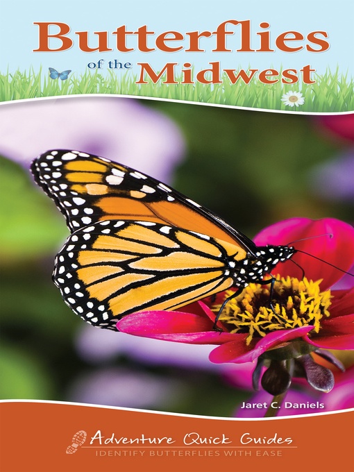 Cover image for Butterflies of the Midwest